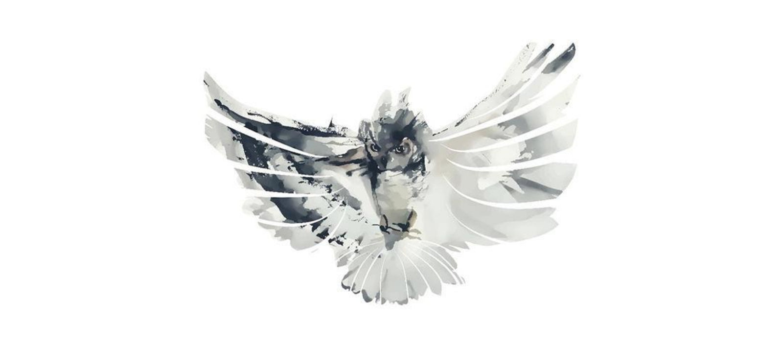 Interior Design Ideas Using Benjamin Moore’s Gray Owl