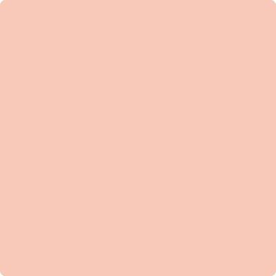 pink orange coral color