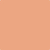 Shop Benajmin Moore's 068 Succulent Peach at Creative Paints in San Francisco, South Bay & East Bay. Serving the San Francisco area with Benjamin Moore Paint since 1979.