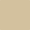 Shop Benajmin Moore's 1046 Sandy Brown at Creative Paints in San Francisco, South Bay & East Bay. Serving the San Francisco area with Benjamin Moore Paint since 1979.