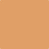 Shop Benajmin Moore's 118 Grand Canyon at Creative Paints in San Francisco, South Bay & East Bay. Serving the San Francisco area with Benjamin Moore Paint since 1979.