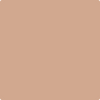 Shop Benajmin Moore's 1207 San Carlos Tan at Creative Paints in San Francisco, South Bay & East Bay. Serving the San Francisco area with Benjamin Moore Paint since 1979.