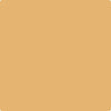 Shop Benajmin Moore's 188 Eye Of The Tiger at Creative Paints in San Francisco, South Bay & East Bay. Serving the San Francisco area with Benjamin Moore Paint since 1979.