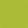 Shop Benajmin Moore's 2027-20 Spring Moss at Creative Paints in San Francisco, South Bay & East Bay. Serving the San Francisco area with Benjamin Moore Paint since 1979.
