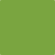 Shop Benajmin Moore's 2028-10 Iguana Green at Creative Paints in San Francisco, South Bay & East Bay. Serving the San Francisco area with Benjamin Moore Paint since 1979.