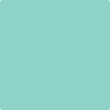 Shop Benajmin Moore's 2042-50 Caribe Green at Creative Paints in San Francisco, South Bay & East Bay. Serving the San Francisco area with Benjamin Moore Paint since 1979.