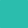 Shop Benajmin Moore's 2046-40 Green Sponge at Creative Paints in San Francisco, South Bay & East Bay. Serving the San Francisco area with Benjamin Moore Paint since 1979.