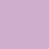 Shop Benajmin Moore's 2073-50 Purple Easter Egg at Creative Paints in San Francisco, South Bay & East Bay. Serving the San Francisco area with Benjamin Moore Paint since 1979.