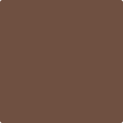 2106-20 Auberge a Paint Color by Benjamin Moore | Creative Paints