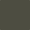 Shop Benajmin Moore's 2140-10 Fatigue Green at Creative Paints in San Francisco, South Bay & East Bay. Serving the San Francisco area with Benjamin Moore Paint since 1979.