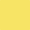 Shop Benajmin Moore's 335 Delightful Yellow at Creative Paints in San Francisco, South Bay & East Bay. Serving the San Francisco area with Benjamin Moore Paint since 1979.