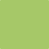 Shop Benajmin Moore's 412 Spring Hill Green at Creative Paints in San Francisco, South Bay & East Bay. Serving the San Francisco area with Benjamin Moore Paint since 1979.