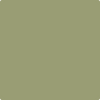 Shop Benajmin Moore's 482 Misted Fern at Creative Paints in San Francisco, South Bay & East Bay. Serving the San Francisco area with Benjamin Moore Paint since 1979.