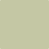 Shop Benajmin Moore's 501 Mesquite at Creative Paints in San Francisco, South Bay & East Bay. Serving the San Francisco area with Benjamin Moore Paint since 1979.