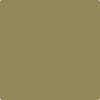 Shop Benajmin Moore's 525 Savannah Shade at Creative Paints in San Francisco, South Bay & East Bay. Serving the San Francisco area with Benjamin Moore Paint since 1979.