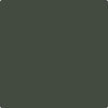 Shop Benajmin Moore's CC-692 Topsoil at Creative Paints in San Francisco, South Bay & East Bay. Serving the San Francisco area with Benjamin Moore Paint since 1979.